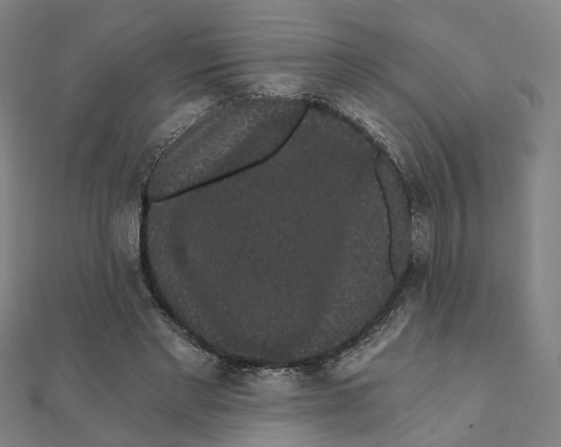 X0000111420493200908101059