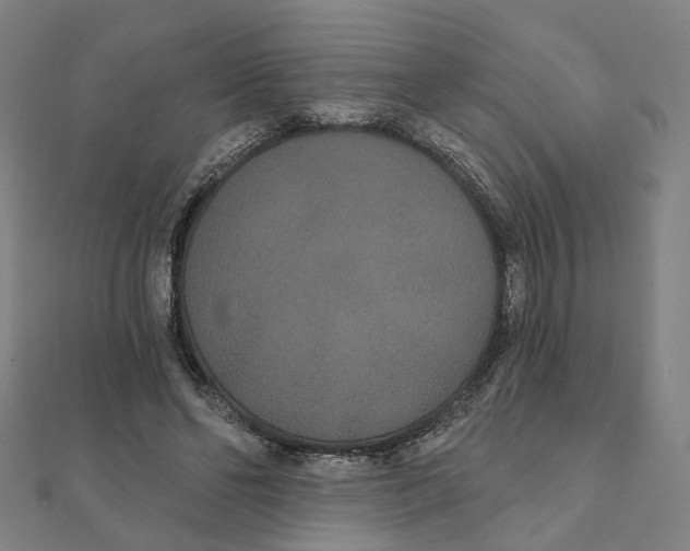 X0000111420494200908101059