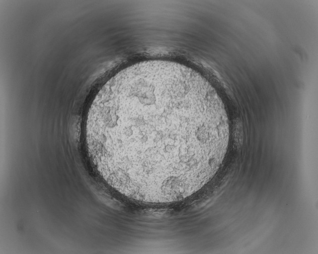 X0000111420495200908101059