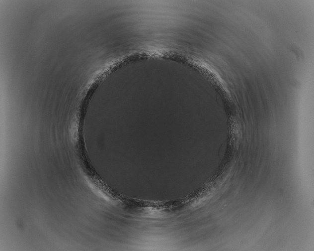 X0000111420496200908101059