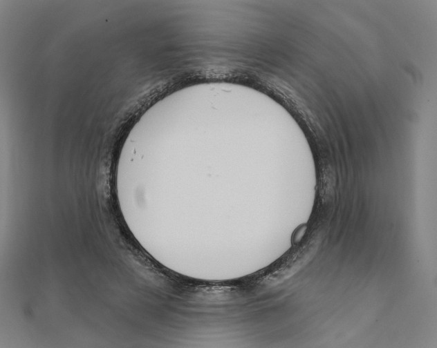 X0000111420497200908101059