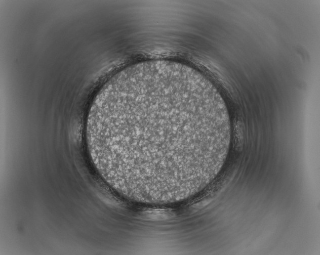 X0000111420499200908101059