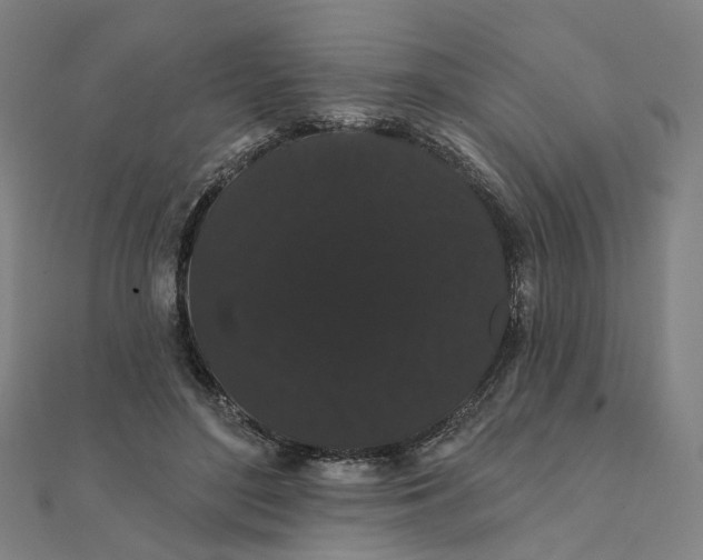 X0000111420500200908101059