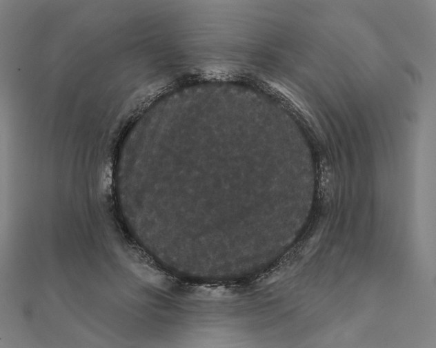 X0000111420502200908101059