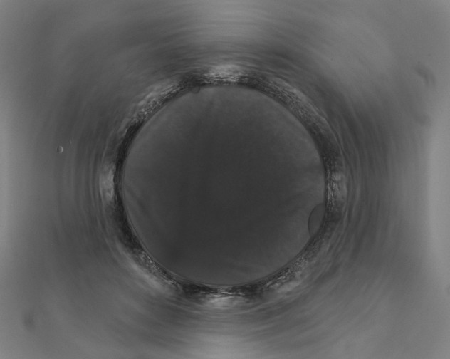 X0000111420504200908101059