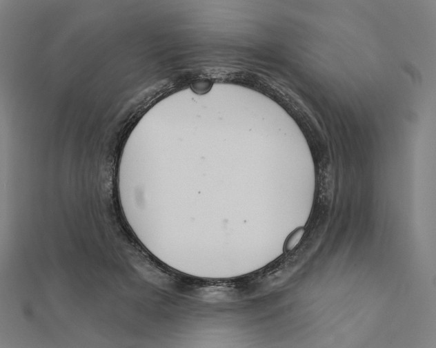 X0000111420505200908101058