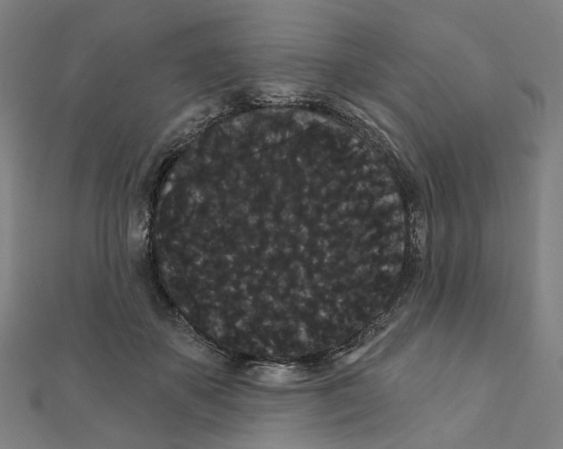 X0000111420507200908101058