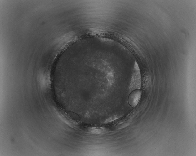 X0000111420508200908101058