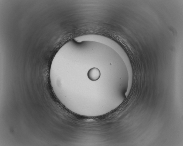 X0000111420509200908101058
