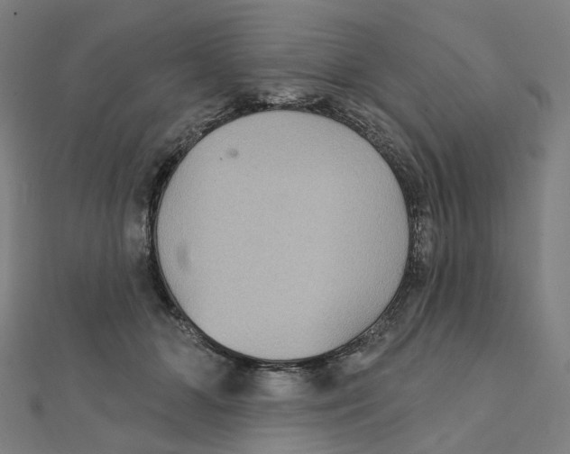 X0000111420510200908101058