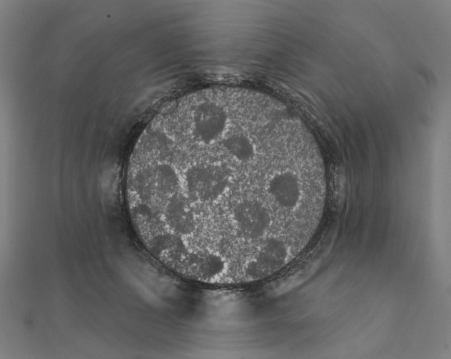 X0000111420511200908101058