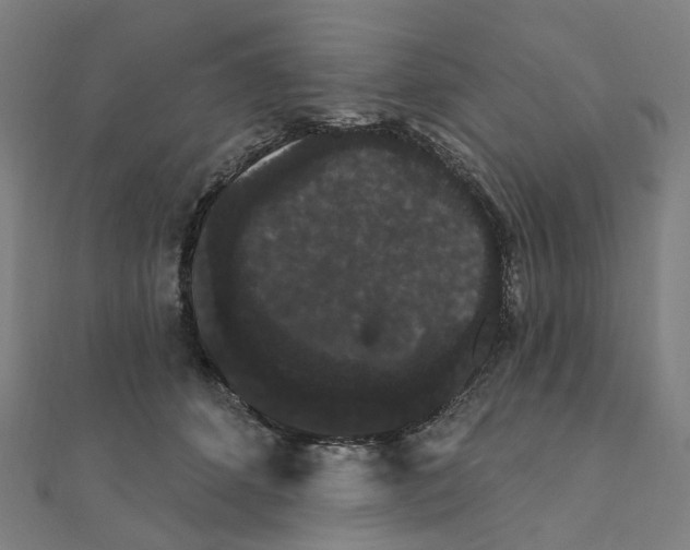 X0000111420512200908101058
