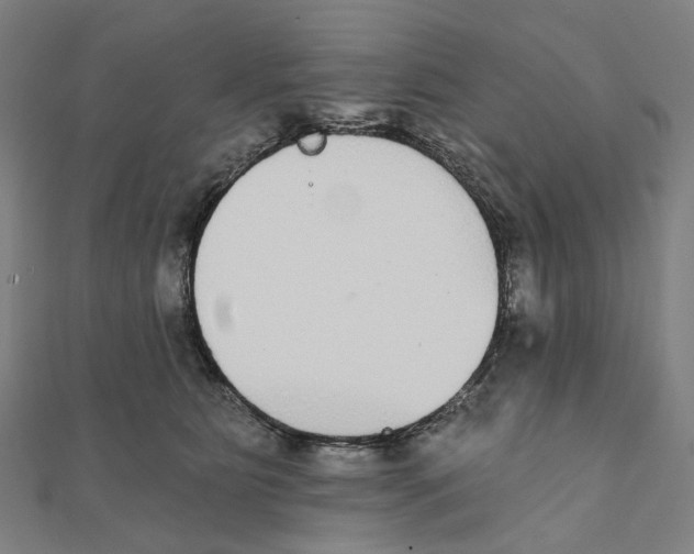 X0000111420515200908101058