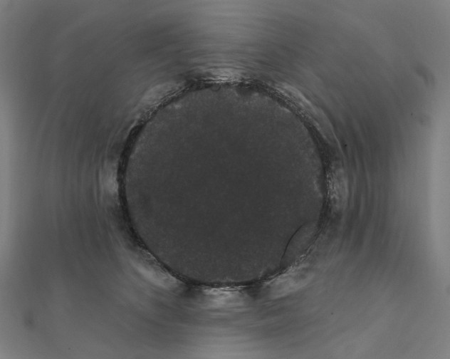 X0000111420516200908101058