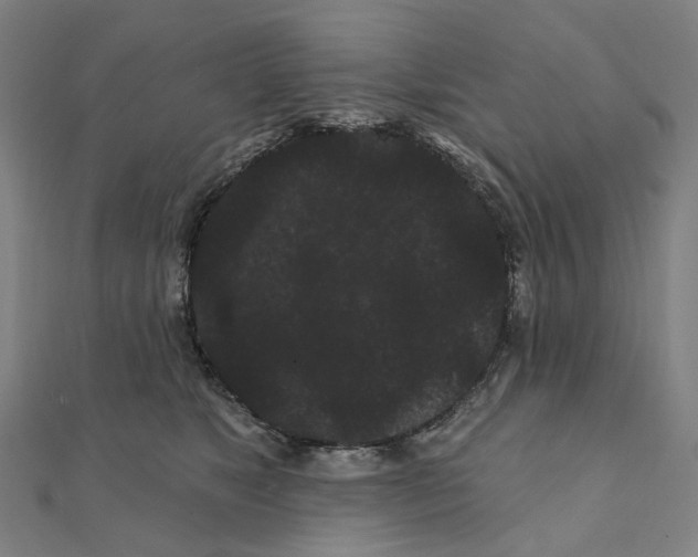X0000111420517200908101058