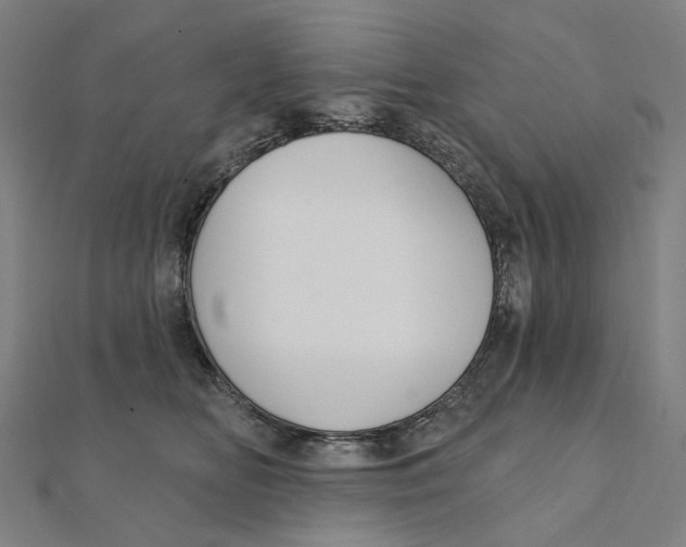 X0000111420518200908101058