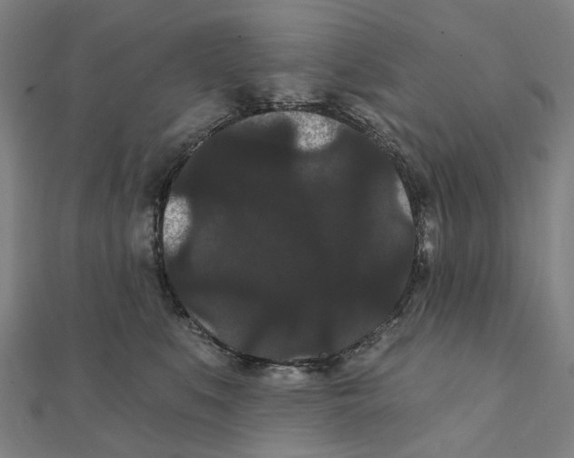 X0000111420519200908101058