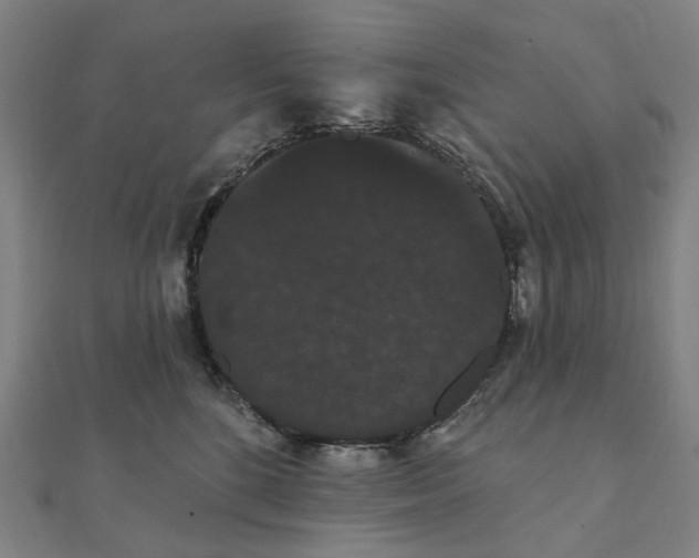 X0000111420520200908101058