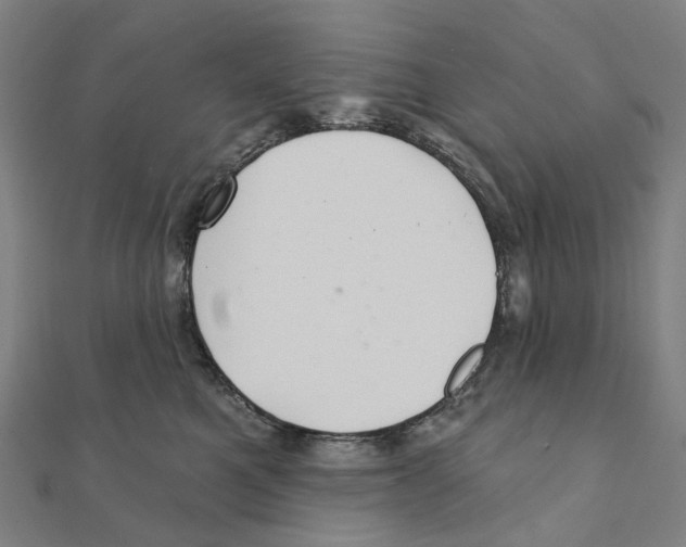 X0000111420521200908101058