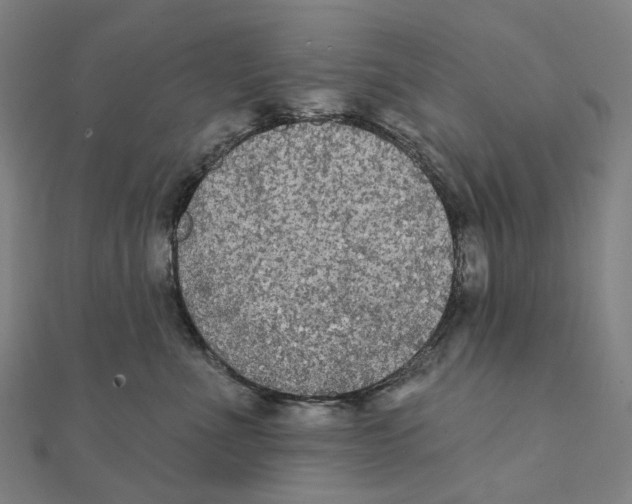 X0000111420523200908101058