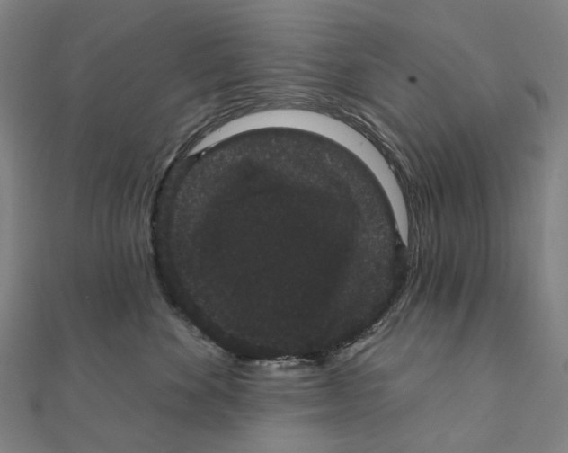 X0000111420524200908101058