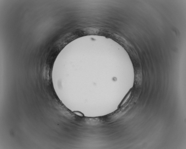 X0000111420525200908101058