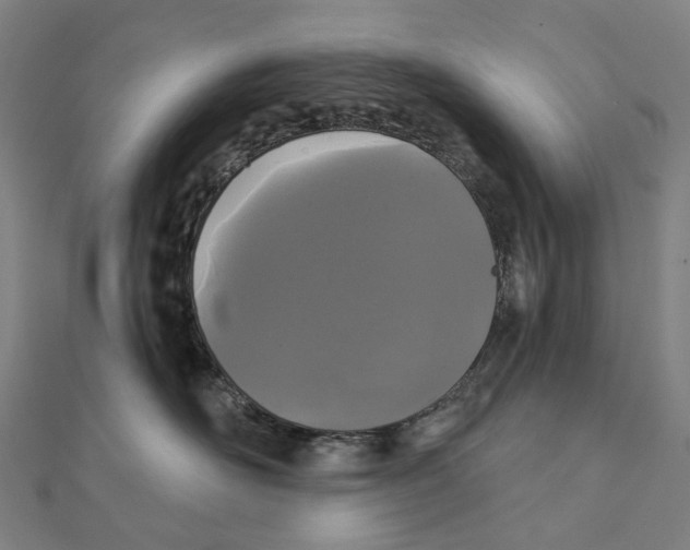 X0000111420526200908101058