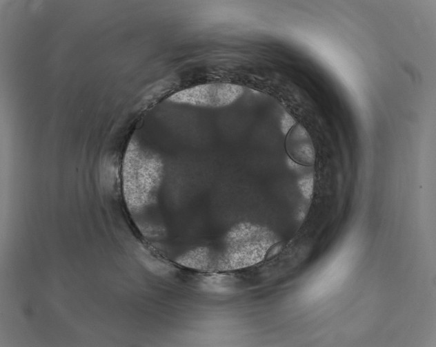X0000111420527200908101058