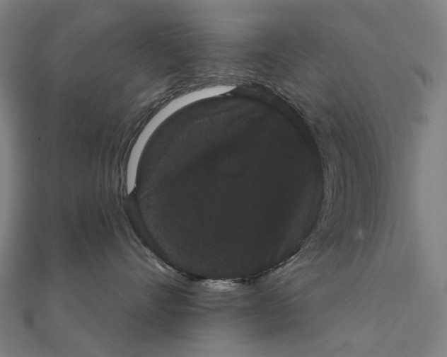 X0000111420528200908101058