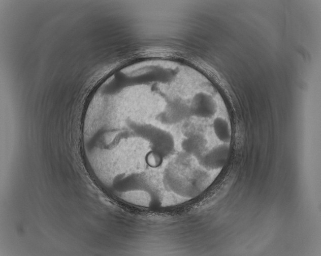 X0000111420529200908101058