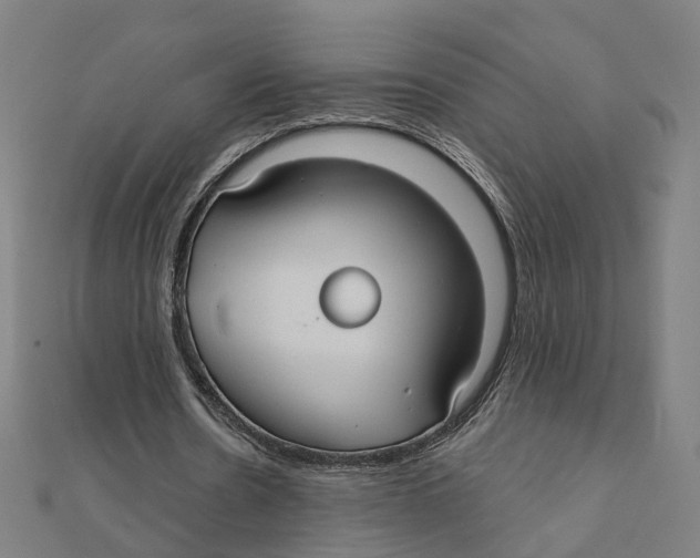 X0000111420530200908101058