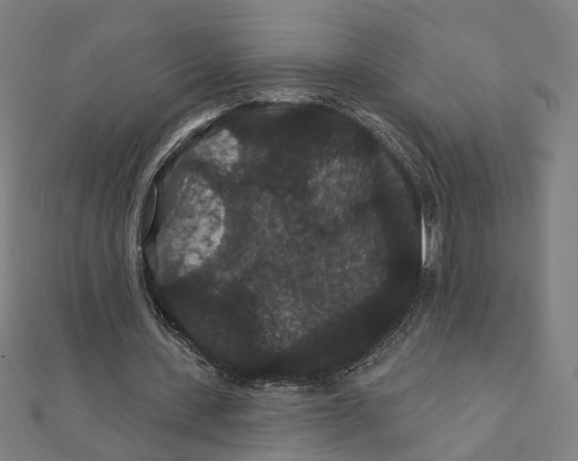 X0000111420531200908101058
