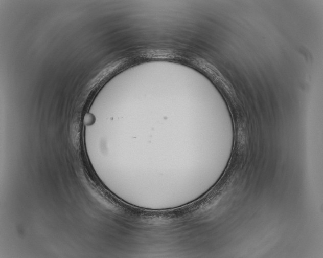 X0000111420533200908101058
