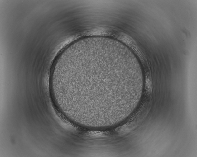 X0000111420534200908101058