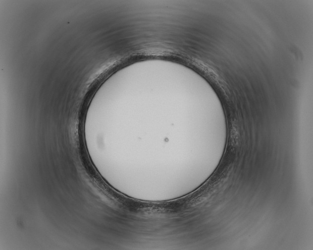 X0000111420535200908101058