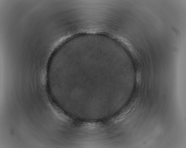 X0000111420540200908101058