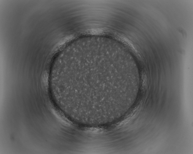 X0000111420542200908101058