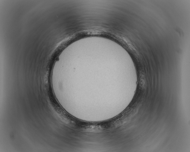 X0000111420543200908101058