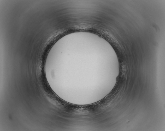 X0000111420544200908101058