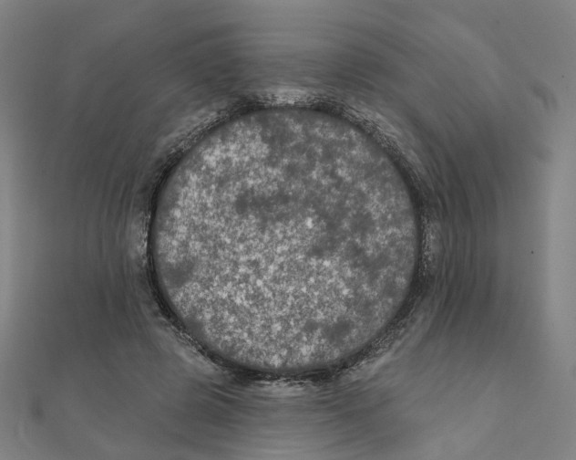 X0000111420545200908101058