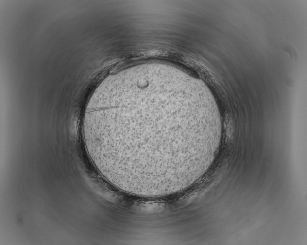 X0000111420546200908101058