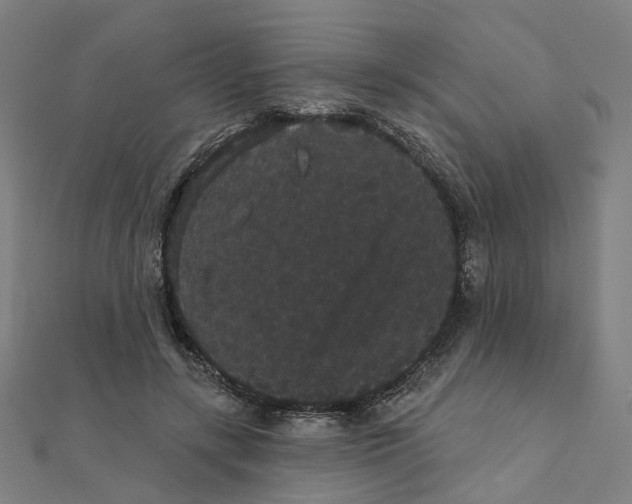 X0000111420547200908101058
