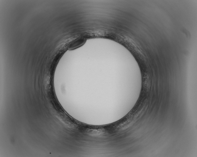 X0000111420548200908101058