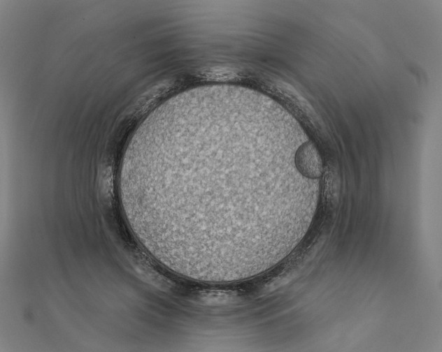 X0000111420549200908101058