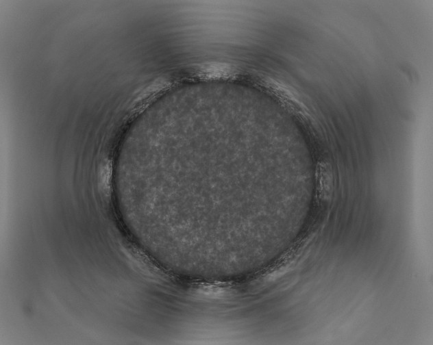 X0000111420550200908101058