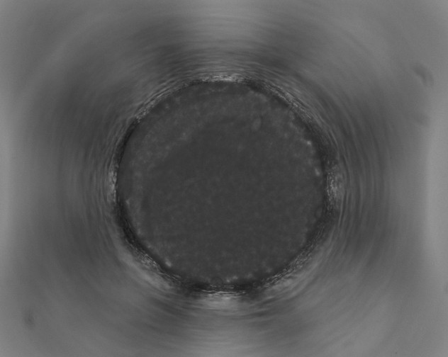 X0000111420551200908101058