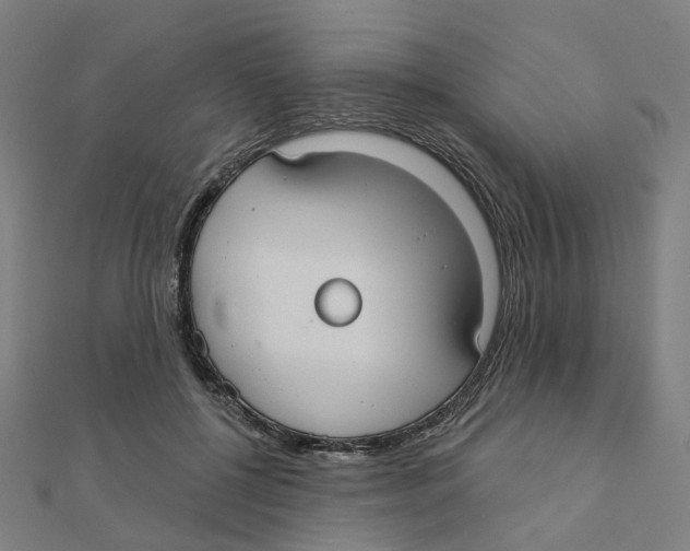 X0000111420552200908101058