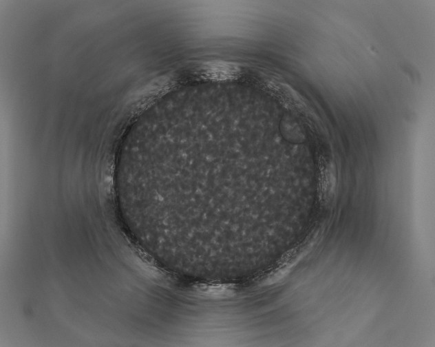 X0000111420553200908101058