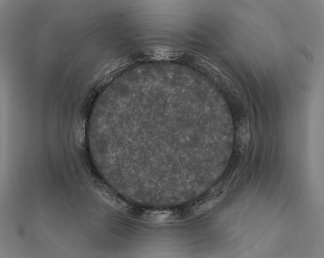 X0000111420554200908101058