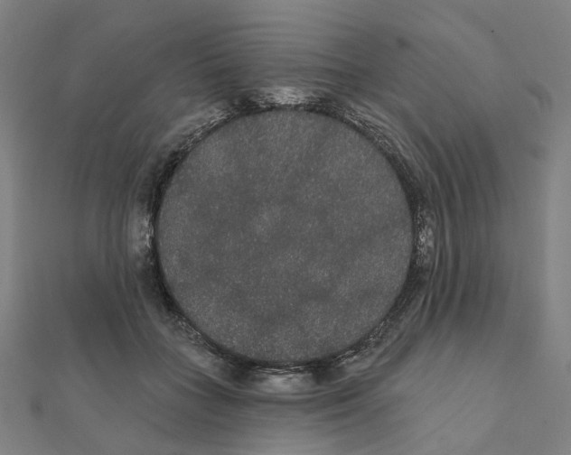 X0000111420555200908101058